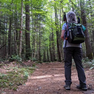 Fundraising Page: Peggi-Lynn Harrington